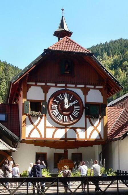 Two-Bedroom Apartment Near Triberg Waterfall Triberg im Schwarzwald Екстер'єр фото