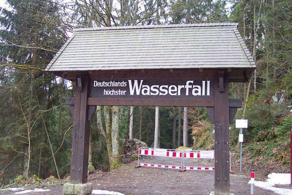 Two-Bedroom Apartment Near Triberg Waterfall Triberg im Schwarzwald Екстер'єр фото